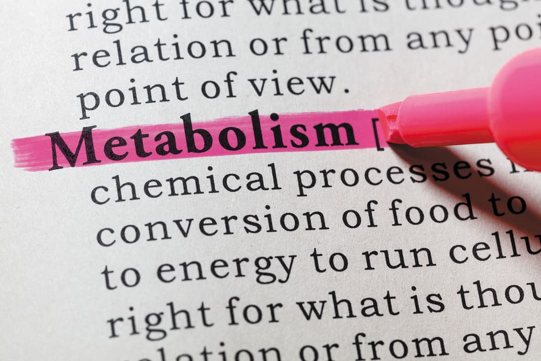 Metabolism & Weight Loss: Myths vs. Facts